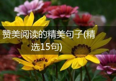 赞美阅读的精美句子(精选15句)
