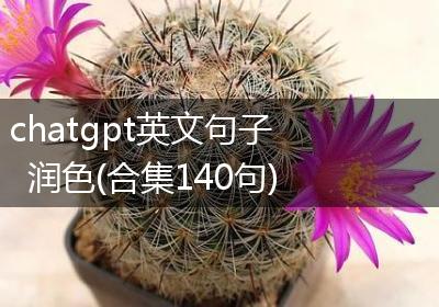 chatgpt英文句子润色(合集140句)