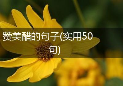 赞美醋的句子(实用50句)