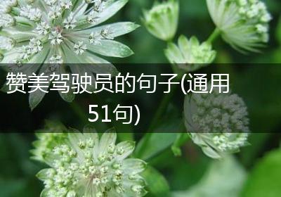 赞美驾驶员的句子(通用51句)