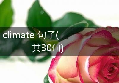 climate 句子(共30句)