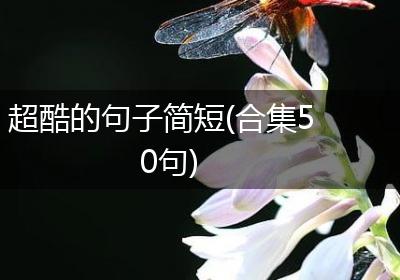 超酷的句子简短(合集50句)