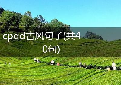 cpdd古风句子(共40句)