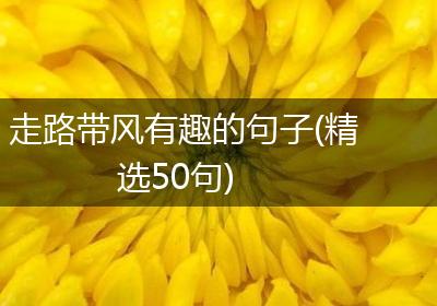 走路带风有趣的句子(精选50句)