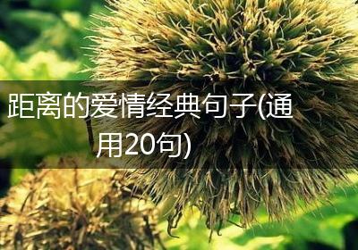 距离的爱情经典句子(通用20句)