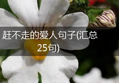 赶不走的爱人句子(汇总25句)