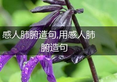 感人肺腑造句,用感人肺腑造句