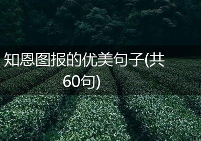 知恩图报的优美句子(共60句)