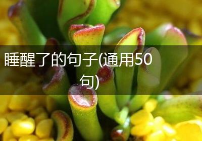 睡醒了的句子(通用50句)