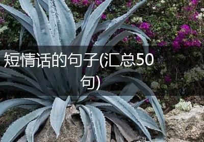 短情话的句子(汇总50句)