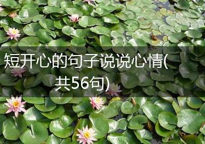 短开心的句子说说心情(共56句)