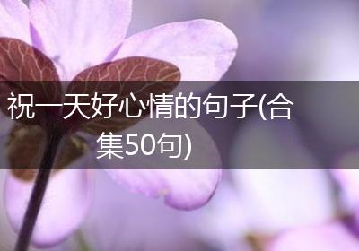 祝一天好心情的句子(合集50句)