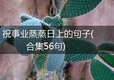 祝事业蒸蒸日上的句子(合集56句)
