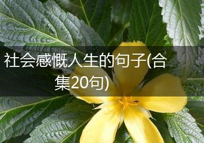 社会感慨人生的句子(合集20句)