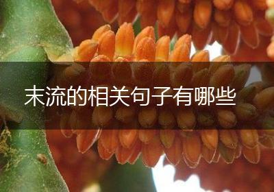 末流的相关句子有哪些