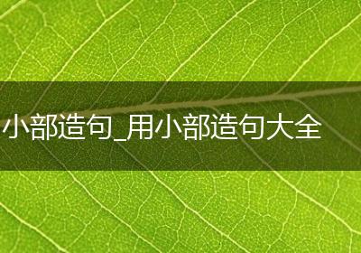 小部造句_用小部造句大全