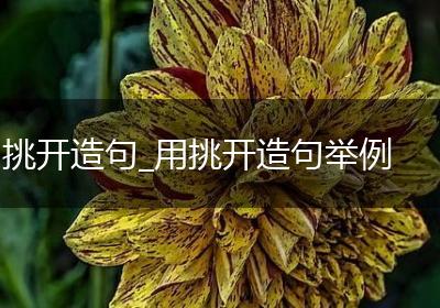 挑开造句_用挑开造句举例