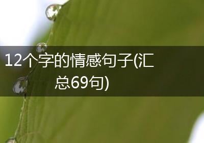 12个字的情感句子(汇总69句)