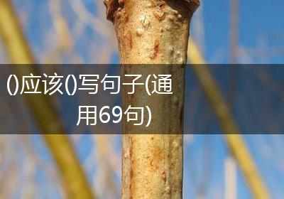 ()应该()写句子(通用69句)