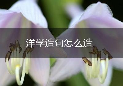 洋学造句怎么造
