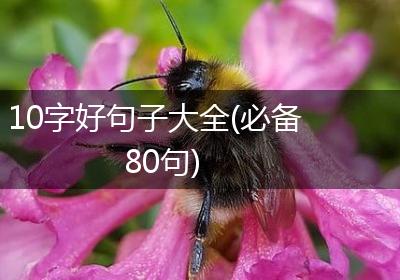 10字好句子大全(必备80句)