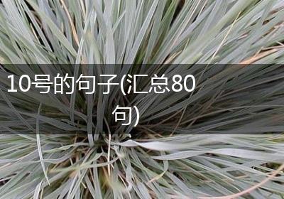 10号的句子(汇总80句)