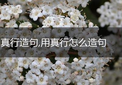 真行造句,用真行怎么造句