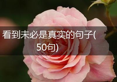 看到未必是真实的句子(50句)