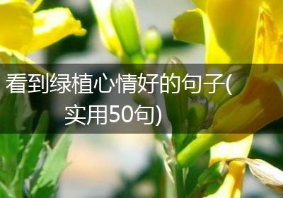 看到绿植心情好的句子(实用50句)