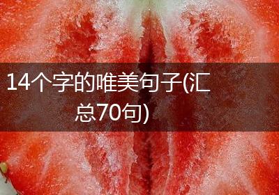 14个字的唯美句子(汇总70句)