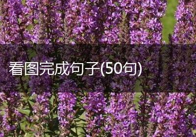 看图完成句子(50句)