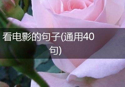 看电影的句子(通用40句)