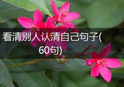 看清别人认清自己句子(60句)