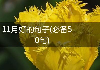 11月好的句子(必备50句)