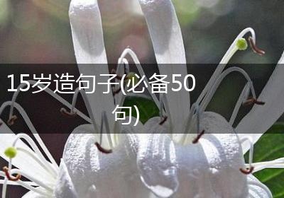 15岁造句子(必备50句)