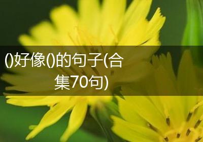 ()好像()的句子(合集70句)