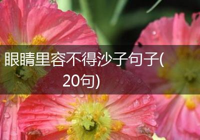 眼睛里容不得沙子句子(20句)