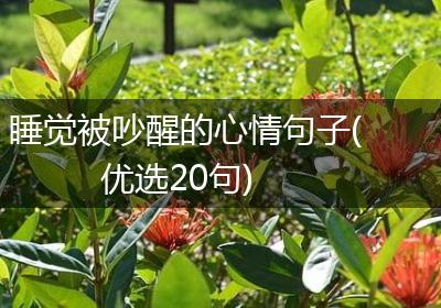 睡觉被吵醒的心情句子(优选20句)