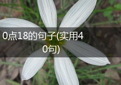 0点18的句子(实用40句)
