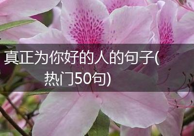 真正为你好的人的句子(热门50句)