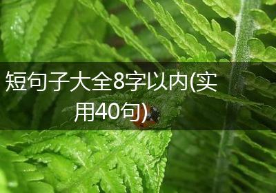 短句子大全8字以内(实用40句)