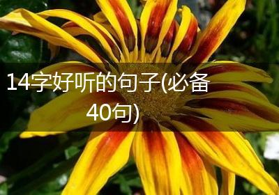 14字好听的句子(必备40句)