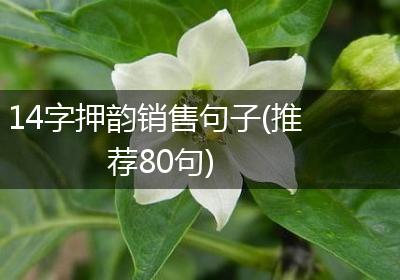 14字押韵销售句子(推荐80句)