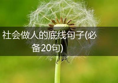社会做人的底线句子(必备20句)