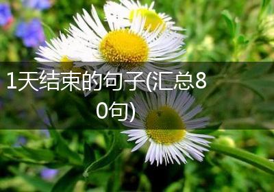 1天结束的句子(汇总80句)