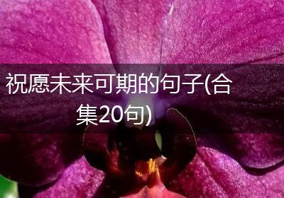 祝愿未来可期的句子(合集20句)