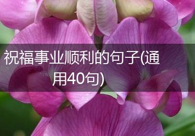 祝福事业顺利的句子(通用40句)