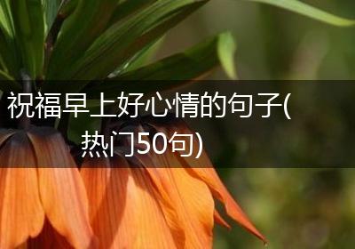 祝福早上好心情的句子(热门50句)