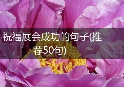 祝福展会成功的句子(推荐50句)