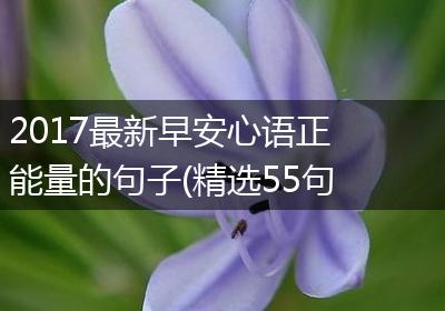 2017最新早安心语正能量的句子(精选55句)